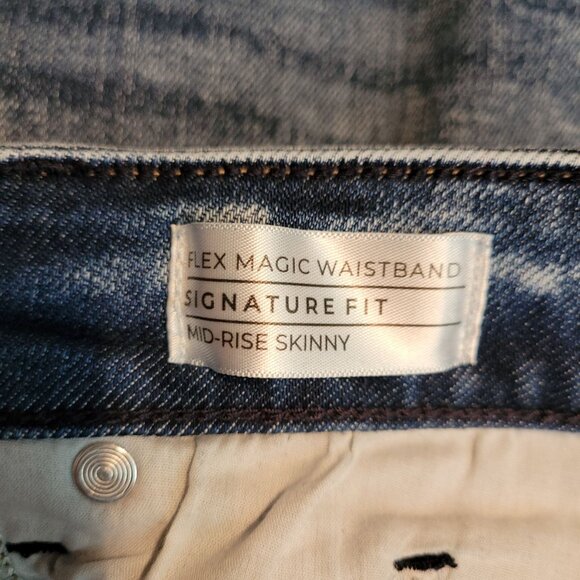 Lane Bryant Jeans Size 26 Mid Rise Skinny Medium Dark Wash Stretch Denim - Picture 4 of 10